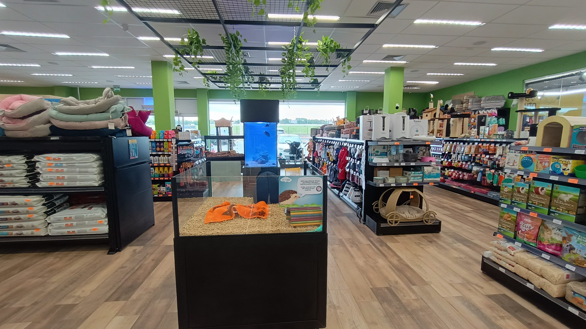 Setor pet shop em loja de varejo